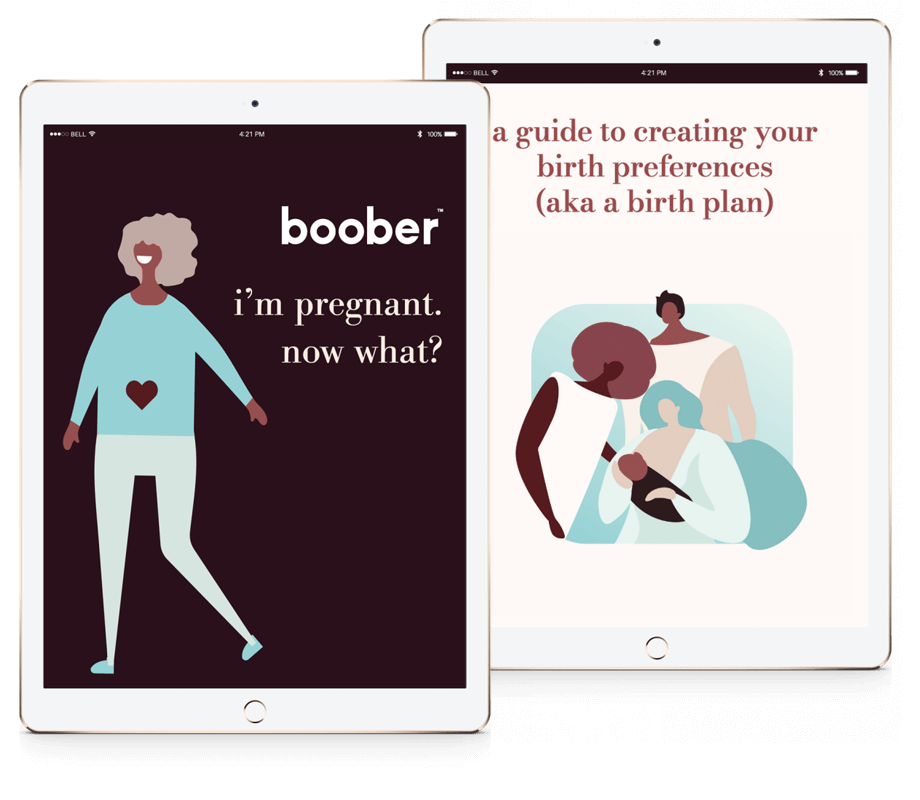 Pregnancy E-books Boober NYC